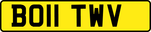 BO11TWV