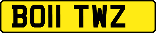 BO11TWZ