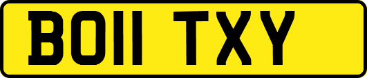 BO11TXY