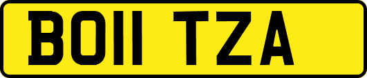 BO11TZA