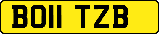 BO11TZB