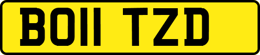 BO11TZD