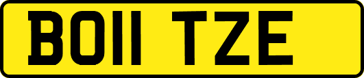 BO11TZE