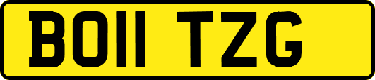 BO11TZG