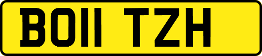 BO11TZH