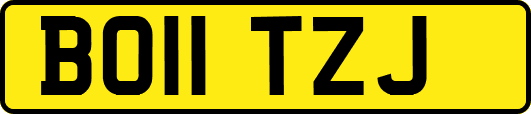 BO11TZJ