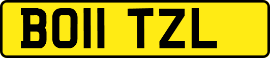 BO11TZL