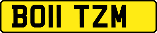 BO11TZM