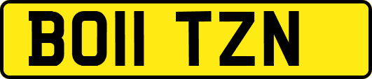 BO11TZN