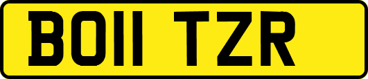 BO11TZR