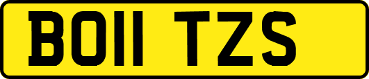 BO11TZS