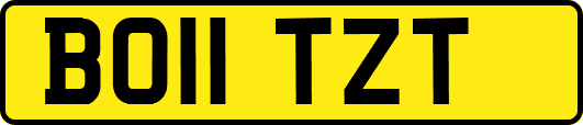 BO11TZT