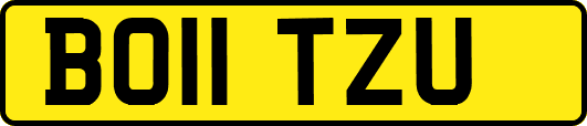 BO11TZU