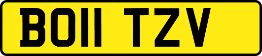 BO11TZV