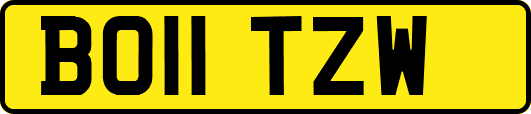 BO11TZW