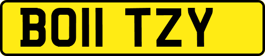 BO11TZY