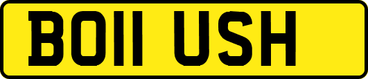 BO11USH