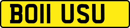 BO11USU