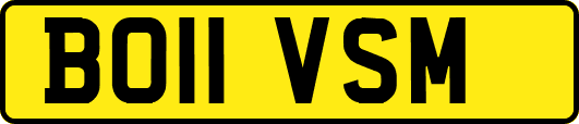 BO11VSM