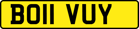 BO11VUY