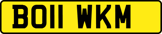 BO11WKM