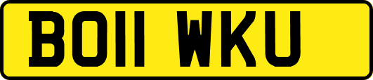 BO11WKU