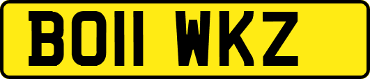 BO11WKZ