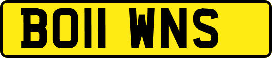 BO11WNS