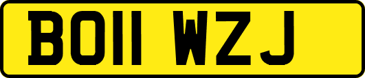 BO11WZJ