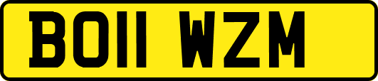 BO11WZM