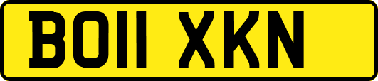 BO11XKN