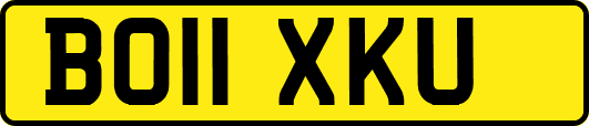 BO11XKU