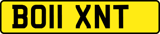 BO11XNT