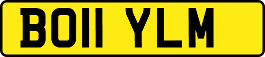 BO11YLM