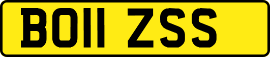BO11ZSS