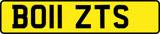 BO11ZTS