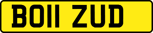 BO11ZUD