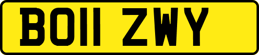 BO11ZWY