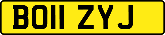 BO11ZYJ