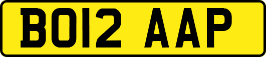 BO12AAP