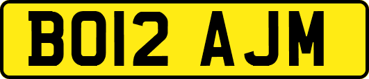 BO12AJM