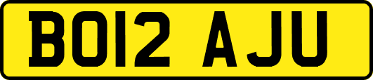 BO12AJU