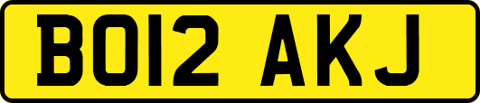 BO12AKJ
