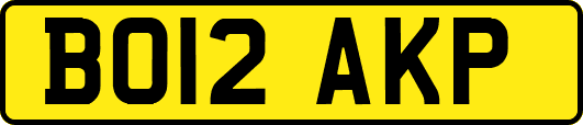 BO12AKP
