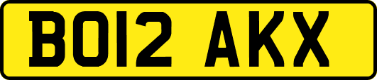 BO12AKX