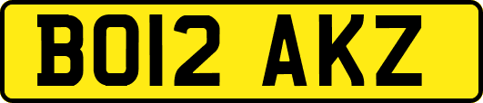 BO12AKZ