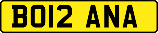 BO12ANA