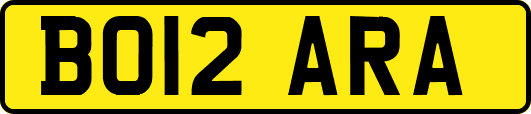 BO12ARA