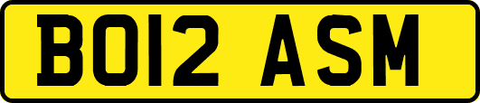 BO12ASM