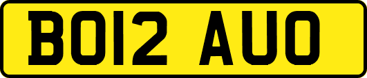 BO12AUO